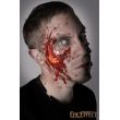 Zombie Cheekbone Exposed ENG/FR 513706 ENG/FR Iron Fortress