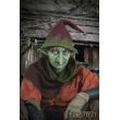 Goblin Nose ENG 513903 ENG Iron Fortress