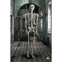 Skeleton Full size 910008 Iron Fortress