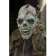 Open Brain Zombie