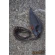 Dark Elf Trophy Ear