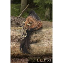 Dwarf Shrunken head