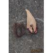 Elven Trophy Ear