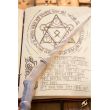 Druid Wand - White