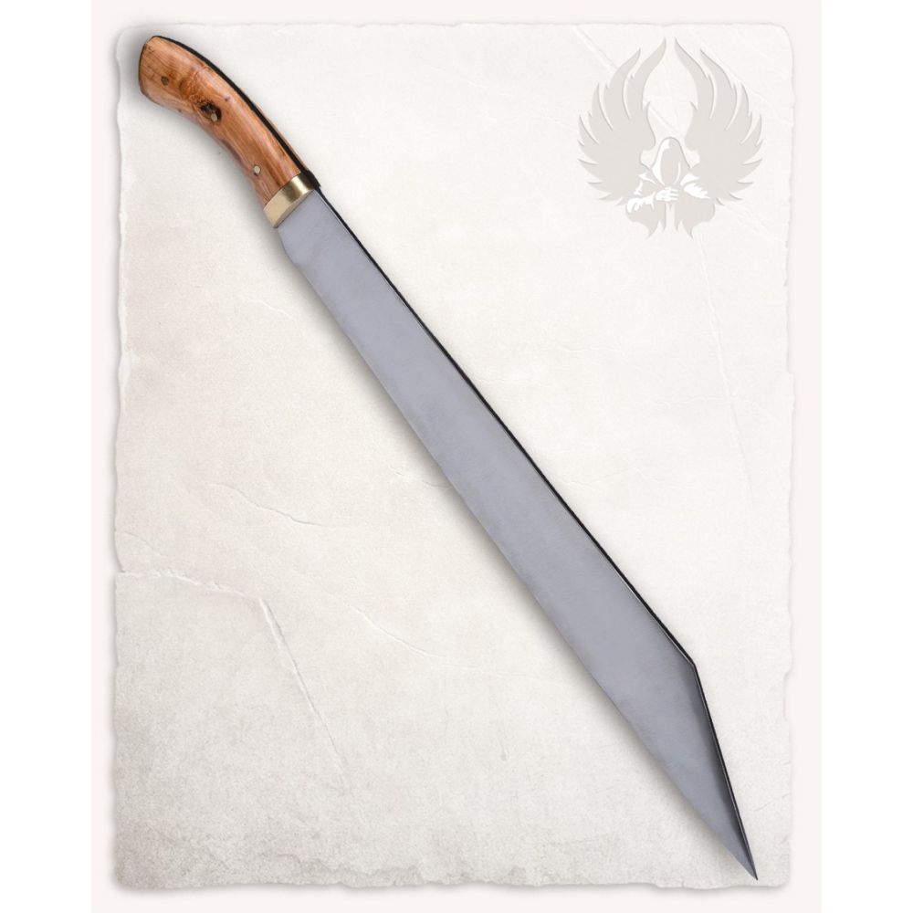 Knife "Havall"