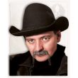 Cowboy Beard