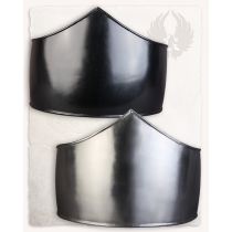 Friederich Abdominal Armour