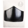Friederich Abdominal Armour