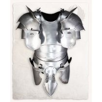 Zestaw Paladyna Galahad