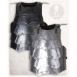 Vladimir Torso Armour