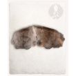 Fur collar Flemish Giant Steel Grey